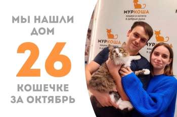 Кико становится счастливицей!