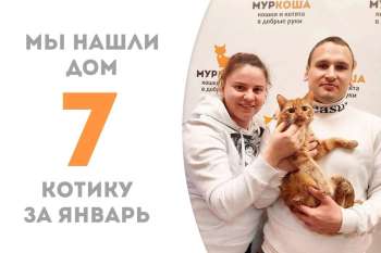 Клементин встретил свою настоящую семью и стал домашним!