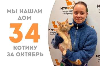 Меньше двух месяцев потребовалось Кораллу, чтобы оказаться в домашней гавани!
