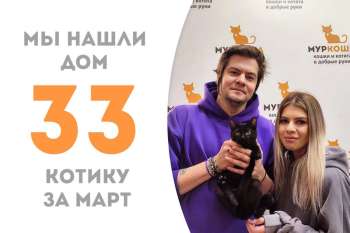 Ковальски погостил у нас чуть меньше двух месяцев и отправился домой!