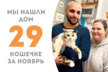 Невероятная Лилуна обрела семью!