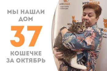 Лиззи нашла чудесную семью, где уже живёт наш выпускник Филипп!