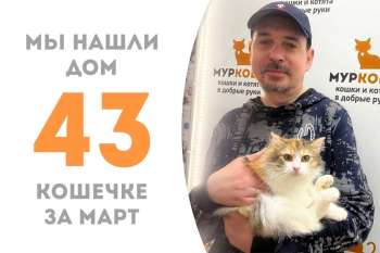Очаровательная Марфочка, не пробыв в приюте и двух месяцев, обретает доброго хозяина!