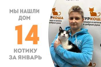 Матеуш встретил добрую хозяйку и обрёл дом!