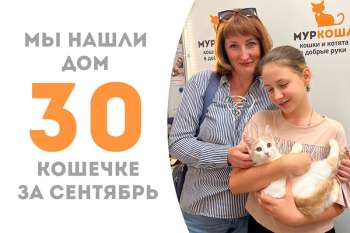 Майотта уезжает домой спустя 2 месяца!