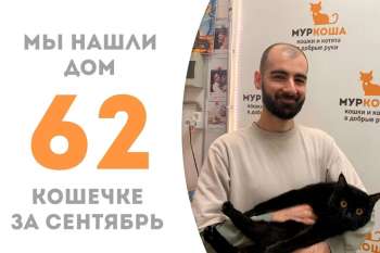 Мейера встретилась со своим человеком!