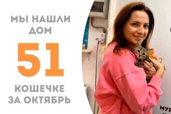 Кнопочка Мирра уезжает спустя три недели пребывания в приюте!