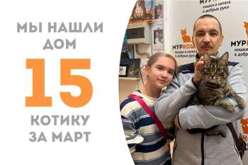 Всего три с небольшим месяца потребовалось Моржику, чтобы уехать в семью к нашей выпускнице Цыпе.