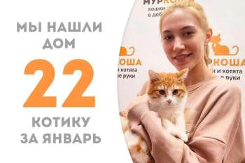 Мурилио становится домашним и уезжает жить в компанию к нашей выпускнице Либе!