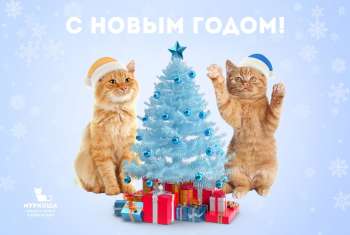 Наши достижения за 2023 год