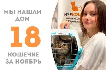 Паутинка обрела свой дом!
