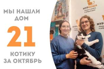 Пироженций теперь домашний!