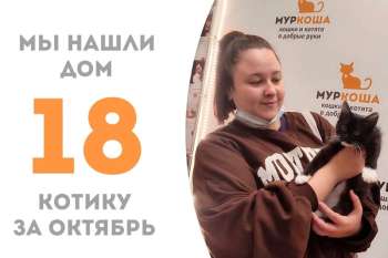 Пробыв у нас всего три недели малыш Прокси становится домашним!