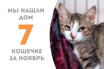 Самара обрела свой дом!