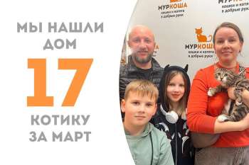 Сантус всего за две недели пристроился в замечательную дружную семью!