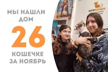 Шабли снова домашняя!