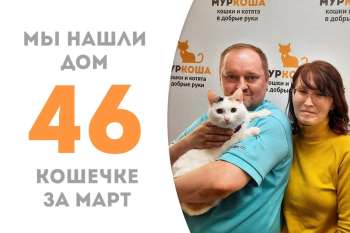 Особенная Сливка встретила своих людей!