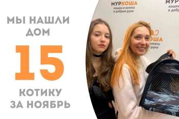 Солар становится счастливчиком!