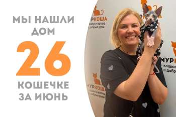 Модница Сомерсет уезжает домой, пробыв у нас всего неделю!