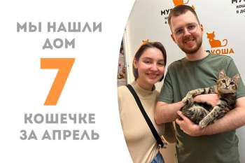 Малютка Свеколка отправилась домой, пробыв у нас чуть больше 2-х месяцев!