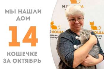 Прошло всего лишь три недели, а за милой Сьюзи приехала хозяйка!