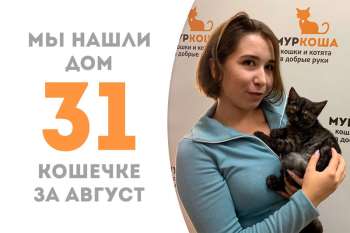 Такара покидает наш приют, пробыв у нас полтора месяца!