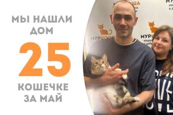 Тартинка покинула наш приют в руках своей новой семьи!