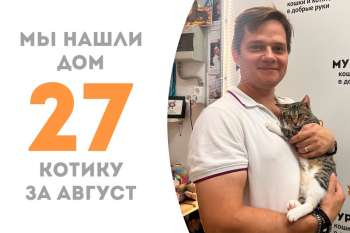 Тоторо уезжает домой к братишке, Цукатику!