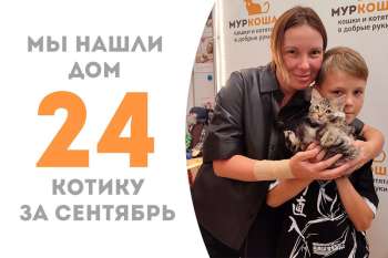 Передали Ульриха в добрые ручки спустя месяц пребывания у нас!