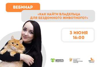 Регистрация на практикум "Как найти владельца для бездомного животного"
