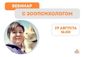 Вебинар "Агрессия абиссинских кошек" с зоопсихологом Татьяной Куликовой