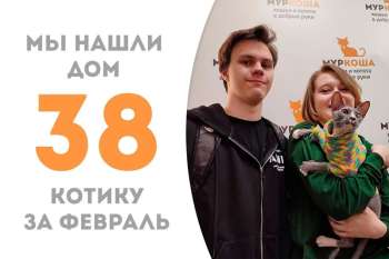 Зяблик упорхнул домой!