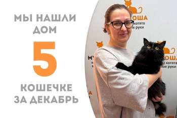 Черновласая Акула нашла дом!