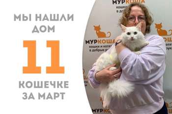 Прошло всего две недели, а белоснежная Антуанетта уже отправляется в домашнее королевство!