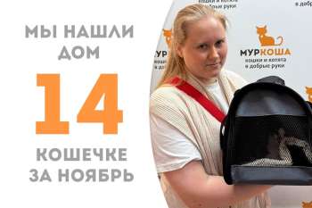 Обворожительная Августяша теперь домашняя!