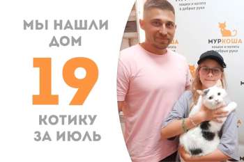Бельчи встретил свою семью!