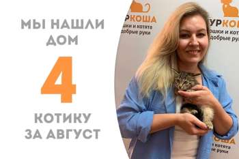 Всего за неделю Блик нашёл свою добрую хозяйку!