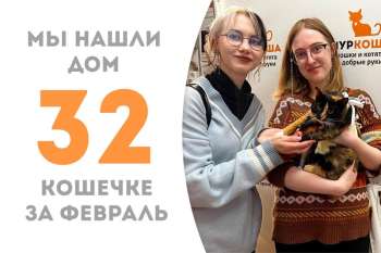 Стремительное укотовление — всего за 2 недели Боча стала домашней!