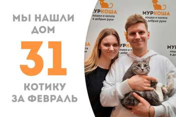 Всего 2 месяца ушло на поиск семьи для Бригадира!