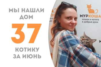 Милый Бруни становится домашним!