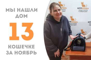 Неотразимая Бухта нашла дом всего за 2 месяца!
