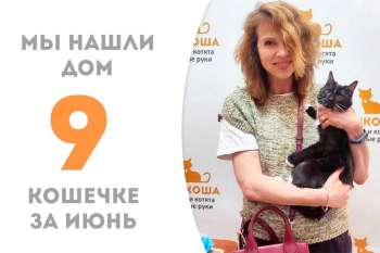 Царапочка отправилась в домашнюю жизнь!