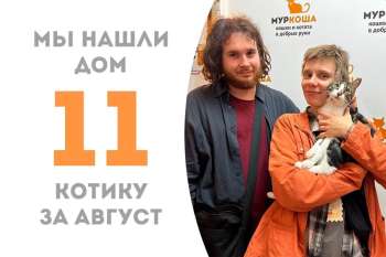 Прошло чуть меньше трех месяцев, а Чарльстон начинает домашнюю жизнь!