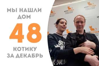 Чуи вновь становится счастливчиком!