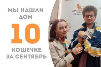 У капелюшки Дануты появилась настоящая семья!