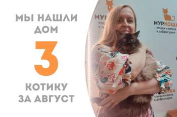 Славный Добрячок пробыл с нами полтора месяца и прекрасным воскресным утром отправляется жить домой к своему куратору!