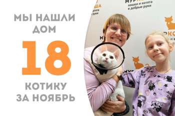 Белоснежный Донатик обрел семью всего за 2 месяца!