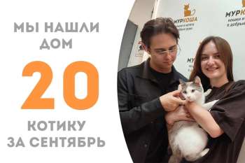 Красавчик Этуаль стал домашним!