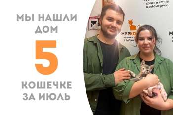 Евочка за рекордные сроки – на второй день пребывания, обрела семью!