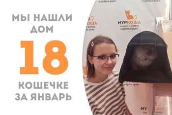 Фраппе становится счастливицей за считанные 5 дней!